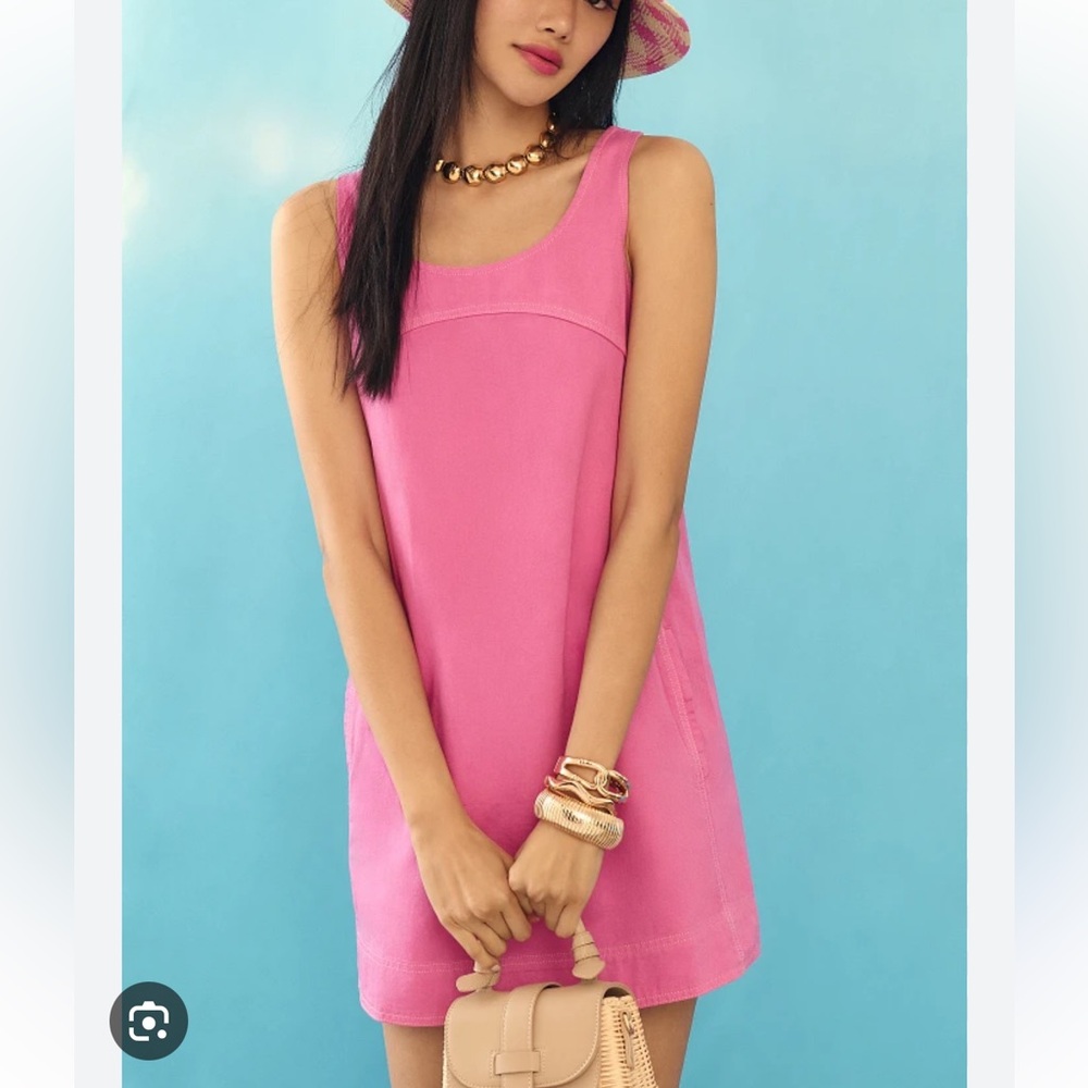 Anthropologie Pink Mini Dress
